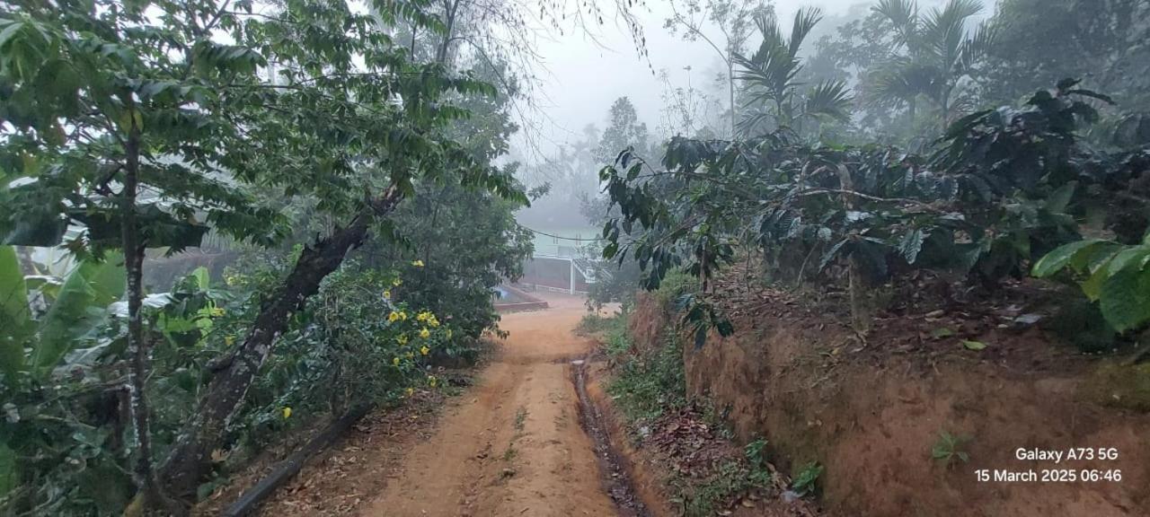 Villa Sambrama Wood House Madikeri Esterno foto